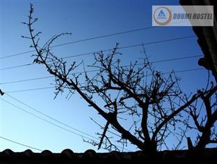Shuhe Doumi International Youth Hostel 麗江市 エクステリア 写真